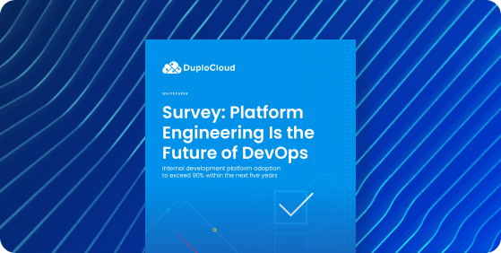Platform Engineering Is the Future of DevOps